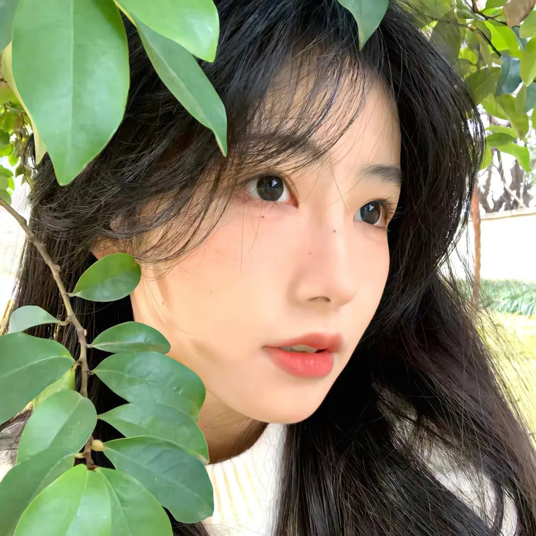 红帐篷
